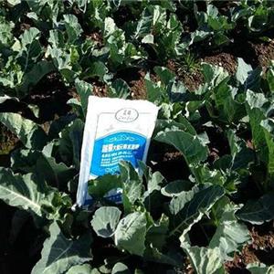 土壤中補(bǔ)充中微量元素已刻不容緩